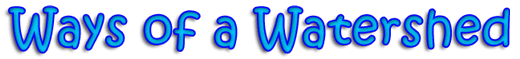 Ways of a Watershed