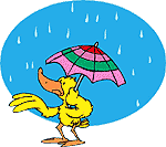 Rain